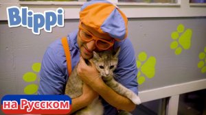 Мы Заботимся О Домашних Животных| Блиппи на Русском | Изучай этот Мир вместе с Блиппи | Blippi