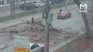 Порывы ветра местами достигали 26 метров в секунду