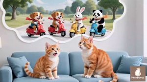 Котики - сборник [25 минут]