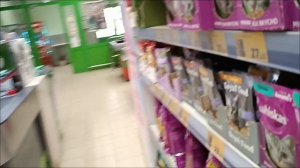 27.04.Кошки загорают на крыше.Мартышка.За лекарством в ветаптеку,за вкусняшкой в магазин.В теплице.