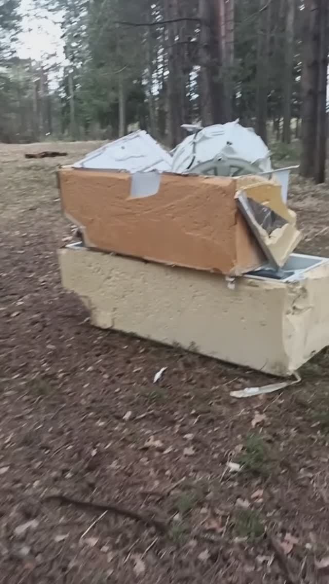 Доколе...(лес у п.Стрижи)