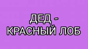 ДОМОСЕР - просветитель!