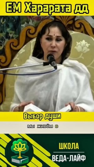 Выбор души