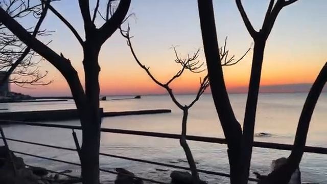 ОДЕССА 27 АПРЕЛЯ 2026. СНОВА-ДОГОВОРНЯК! КАЛЛАС МОГЛА БЫ ПОБЕДИТЬ В ЧЕМПИОНАТЕ ПО ПОРОСЯЧЬЕМУ ВИЗГУ