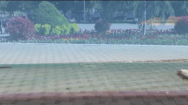 Отпуск в Анапе. Пляжи заполняют песком 27 апреля 26г