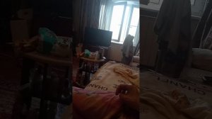 VID_20260423_150440.mp4