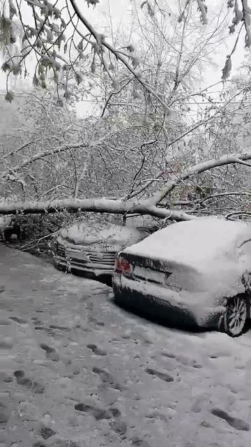 КОМУ-ТО НЕ ПОВЕЗЛО