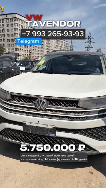 VW TAVENDOR 2026