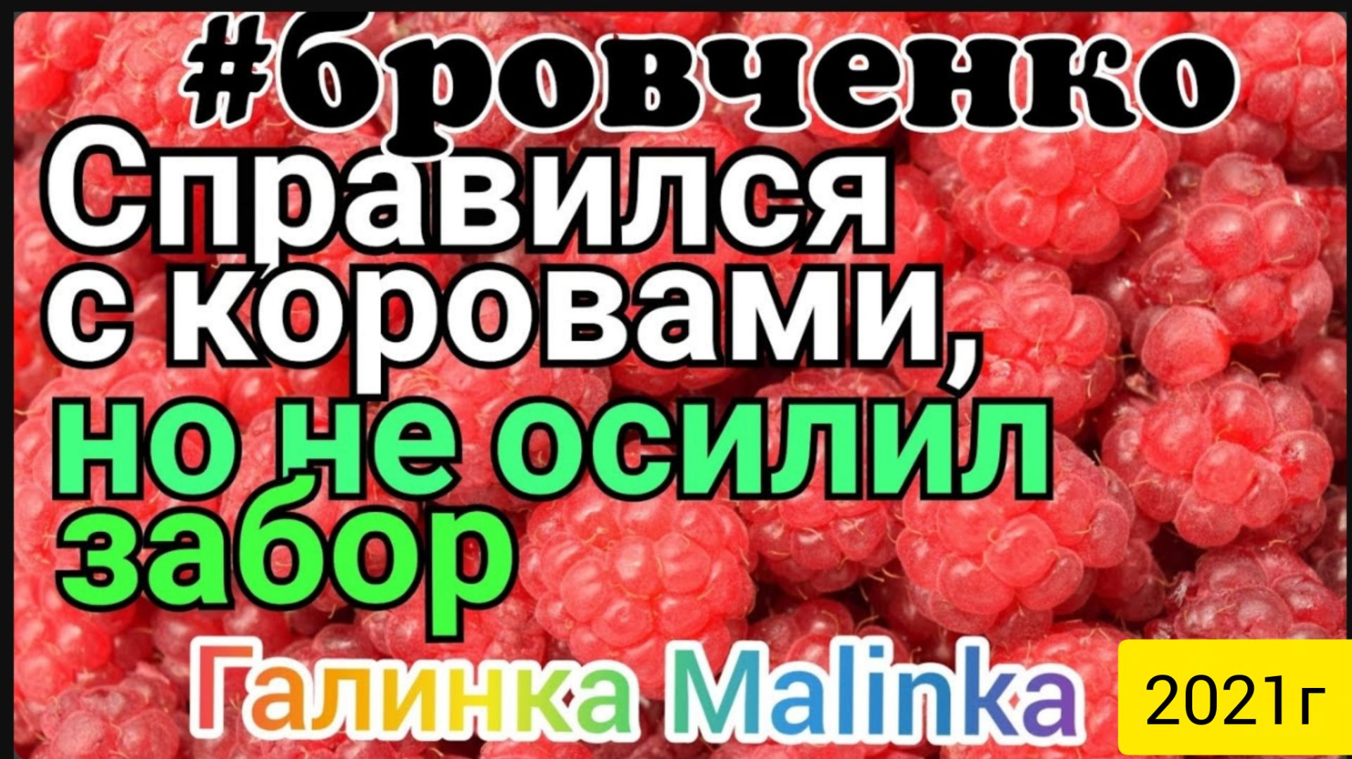 Семья Бровченко _Справился с коровами, но не осилил забор _Обзор Влогов _