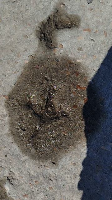 Руна Альгиз — ᛉ