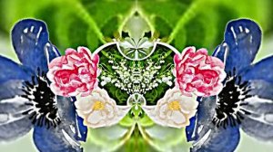 С Днём Рождения 9! Ландышевая Сказка от Киностудии Мудрого Кота Тимофея!!!