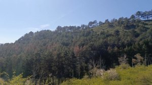 Горы,солнце,птички поют! Лучший отдых-на природе! #Кисловодск 2026