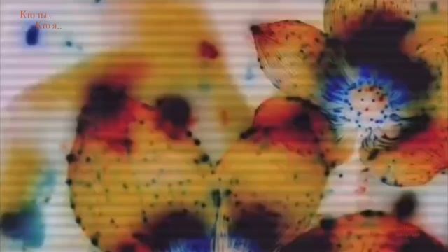 Кто_ты.._Кто_я.