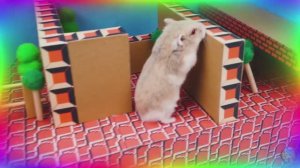 Загадочные испытания хомячка Римская и Египетская мифология. часть 5