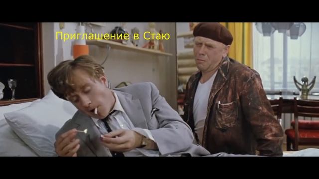 Собеседование в Стаю