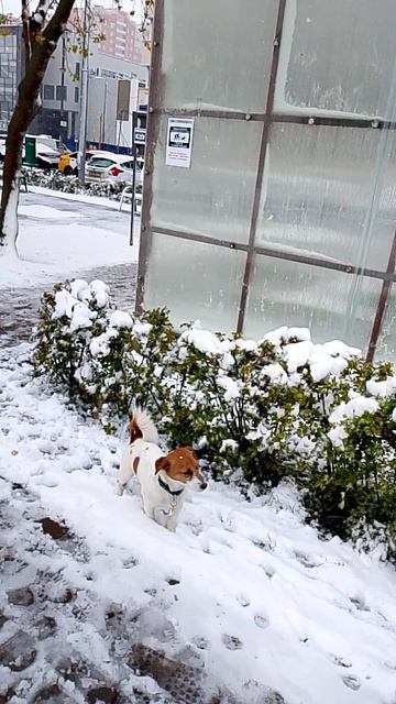 Сегодня 27.04.2026.
