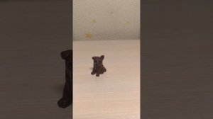 💟первое видео: Знакомство, интересные факты, анкета, интрига, прощание.