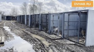 День открытых дверей прошел в приюте «Добрый пес»