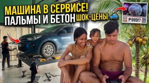 ИСХОД РУССКИХ МУЖИКОВ В ДЖУНГЛИ. ЧТО СЛУЧИЛОСЬ С МАШИНОЙ Жизнь на Филиппинах Сажаю КАРЛИКОВЫЕ ПАЛЬМЫ