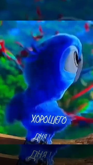 Весёлый гусь