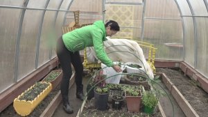 6 соток 23 апреля 2026 года. Хроника. Да, будет свет..