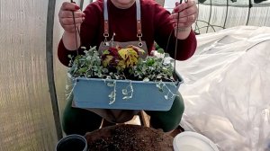 Цветочные КОМПОЗИЦИИ В КАШПО!! Как добиться шикарного результата!!