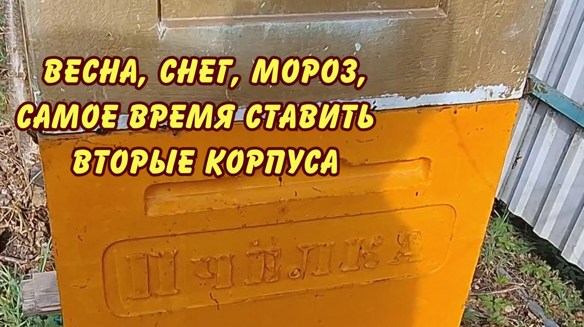 пчеловодство, весна снег мороз самое время ставить вторые корпуса