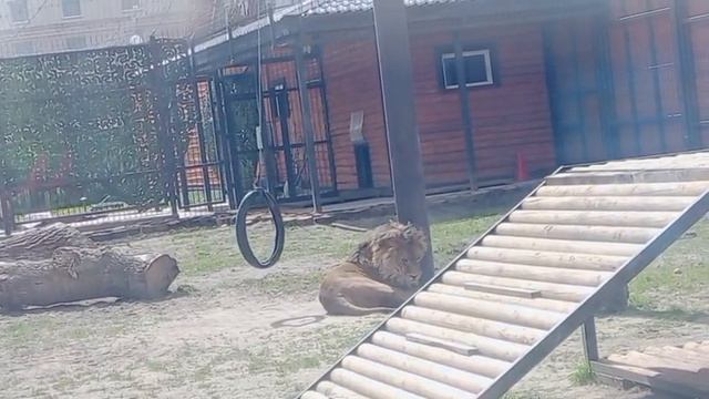 DZLV2436 Видео от Ивана 27.04.2026