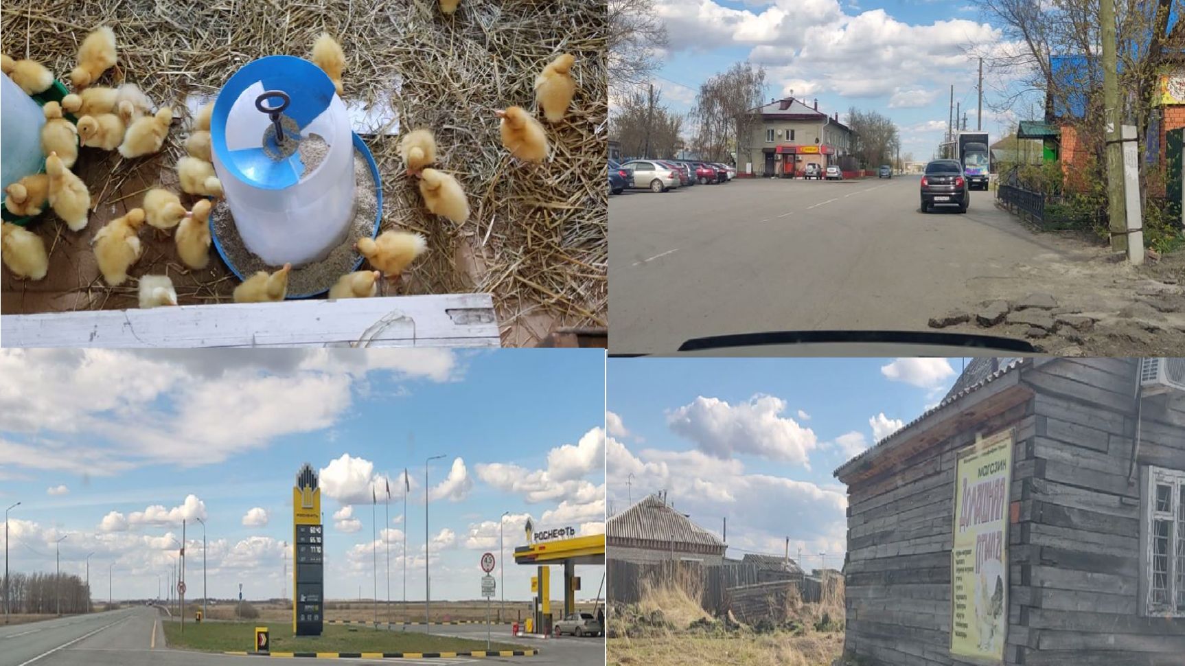 ВЛОГ /ДЕРЕВНЯ/ПОЕЗДКА /ПОКУПОЧКИ/наш новый день в деревне