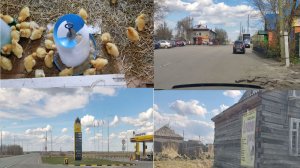 ВЛОГ /ДЕРЕВНЯ/ПОЕЗДКА /ПОКУПОЧКИ/наш новый день в деревне