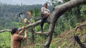 Agricultural vehicle. The girl encountered an unprecedented situation while cutting wood.