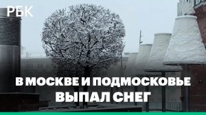 В Москву в конце апреля вернулась зима