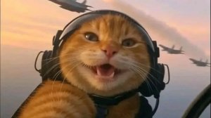 иглаем призываем незокса