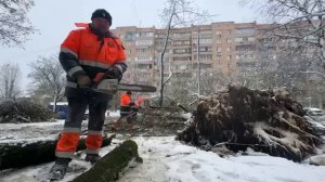 В Балашихе и Раменском коммунальщики убирают упавшие  деревья. 

Ставь ❤️ неизменным спасателям