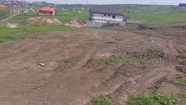 124127.mp4 смотреть онлайн