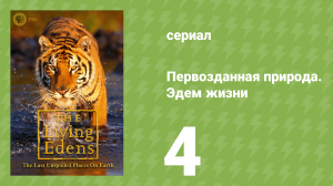 Первозданная природа. Эдем жизни 4 серия (документальный сериал, 1997)