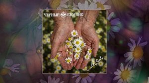 Чёрный Вторник - Дед (Официальная премьера трека)