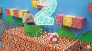 Приключения хомячка — Путешествие по миру волн! часть 4