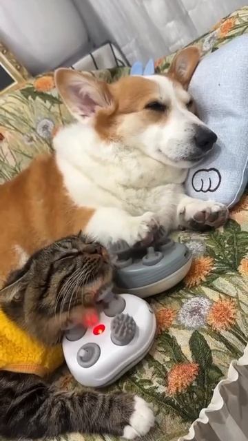 Полный балдёж 