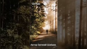 Дождь. Автор Евгений Шабаев