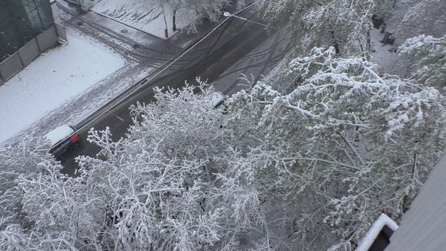 МОСКВА. НЕОЖИДАННЫЙ СНЕГОПАД В АПРЕЛЕ. 