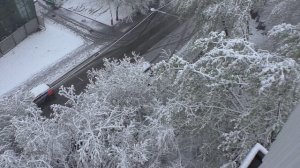 МОСКВА. НЕОЖИДАННЫЙ СНЕГОПАД В АПРЕЛЕ. «А СНЕГ ИДЁТ,А СНЕГ ИДЁТ...»