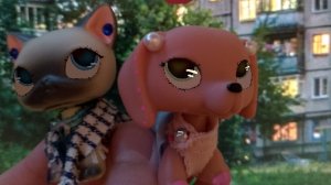 lps: теперь я шью одежду для lps💥