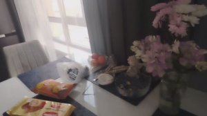 Сходила на приём к врачу, неудачные обои в поклейке