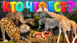 Овощи или фрукты?🥗А может мясо?🥩Чем питаются животные🐒Развивающие мультики про животных для детей