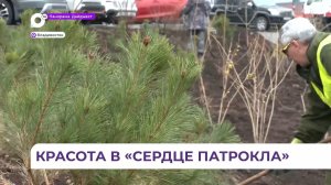 Красота в «Сердце Патрокла»: акция по озеленению микрорайона прошла во Владивостоке