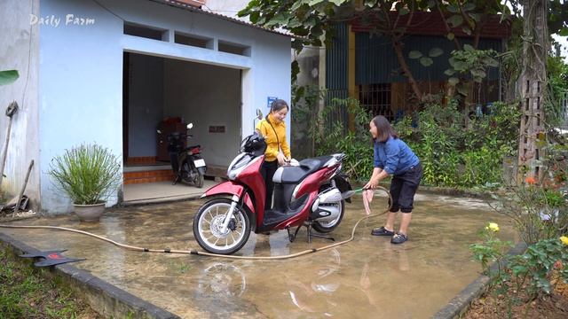 Using 3-Wheeled Truck To Buy Many Banana from Villager Go To Countryside Market Sell For Trader