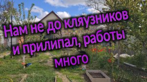Нам не до кляузников и прилипал, работы много. Ремонт у мурманчан. Поездка в станицу. Огород у Тани.