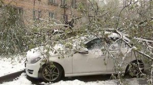 Рекордный снегопад выпал в Москве в конце апреля.