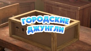 Маша и Медведь, Городские джунгли, 172 серия